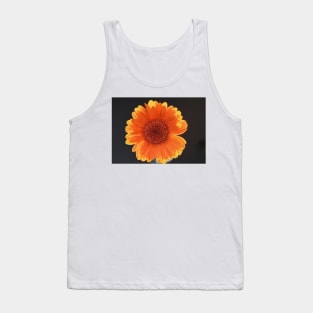 Orange gerbera in sunlight Tank Top